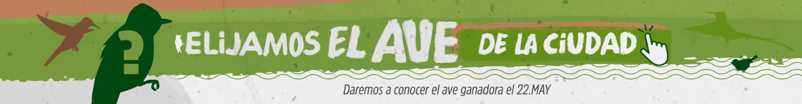 Concurso de Aves